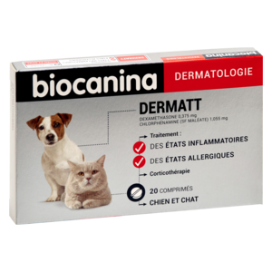 DERMATT - Traitement anti inflammatoire pour chien et chat