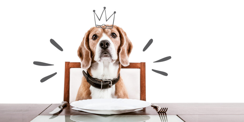 Un chien assis sur une chaise en face d'une table dressée