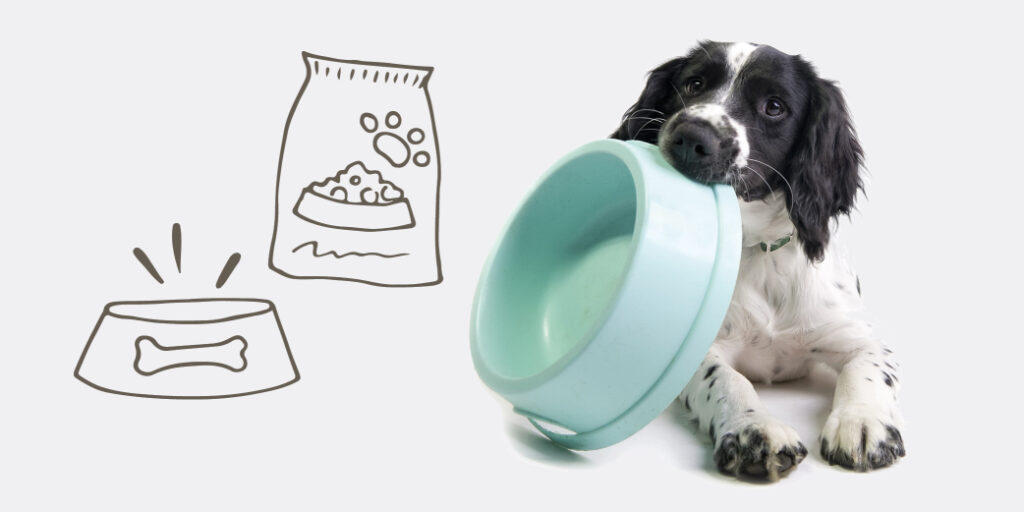 Un chien avec sa gamelle dans la gueule