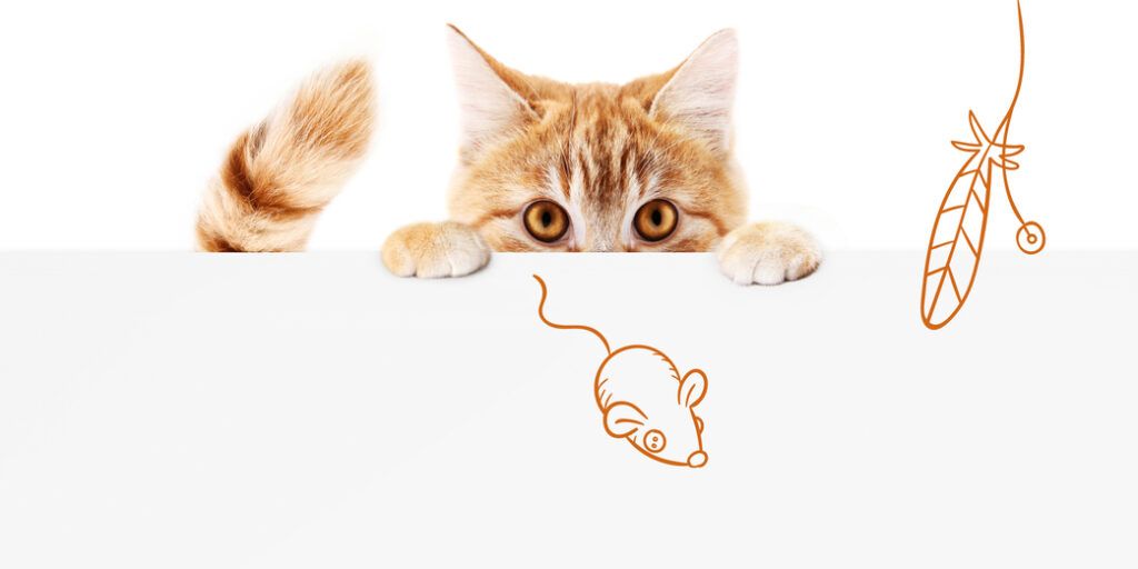 Un chat qui se cache derrière une table et une souris