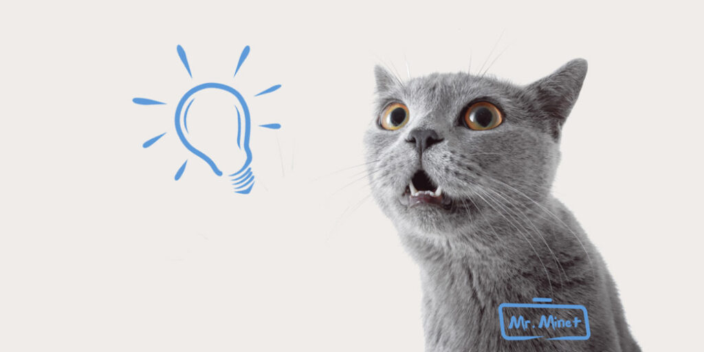 Un chat et une ampoule bleue