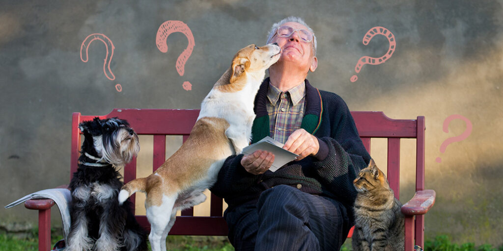 Un chien fait un bisou à un homme assis sur un banc