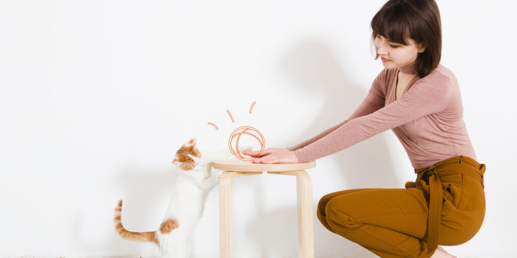 Une femme joue avec un chat blanc et roux sur un tabouret