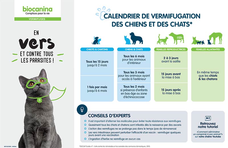 Quand vermifuger son animal ? - Biocanina