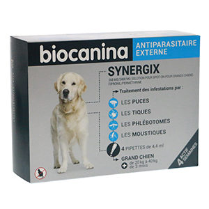 synergix-grands-chiens