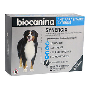 synergix-tres-grand-chien