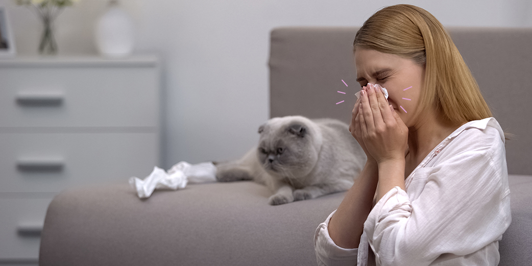 Allergie chat